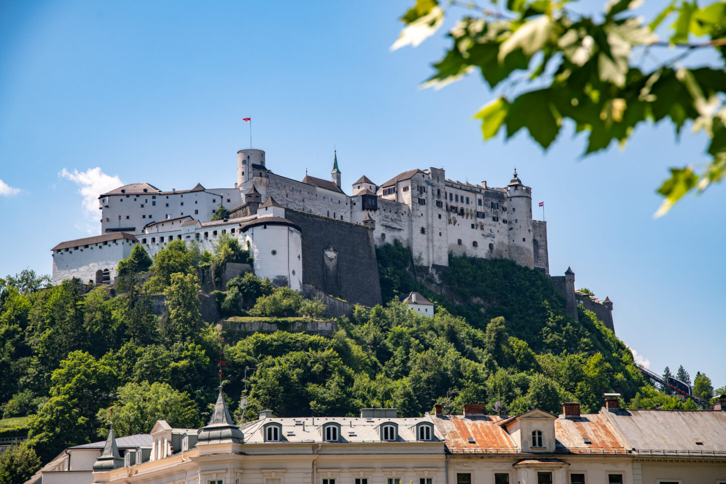 View of Hohensalzburg Fortress with houses and trees in the foreground under a graceful, large fortress against a blue sky with light clouds.