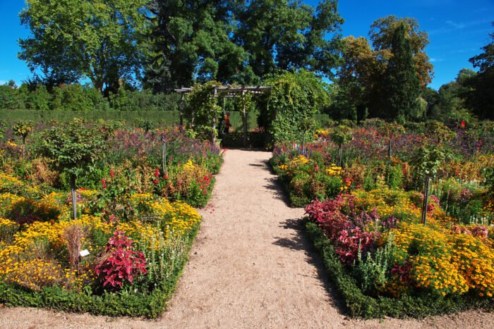 a path lined with flowers in yellow and green in Potsdam park, Germany, on a sunny day