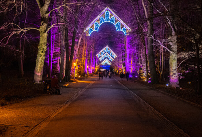 Sn illuminated walkway at Christmas Garden Berlin, with colorful lights above the trees in the botanical garden