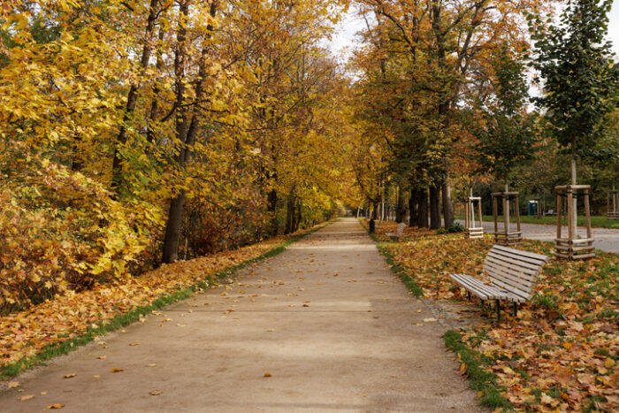 Stromovka Park, Prague